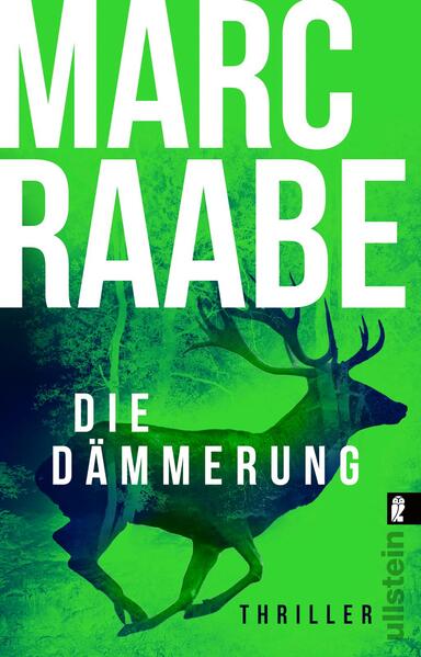Die Dämmerung (Art Mayer-Serie 2) (Mängelexemplar)
