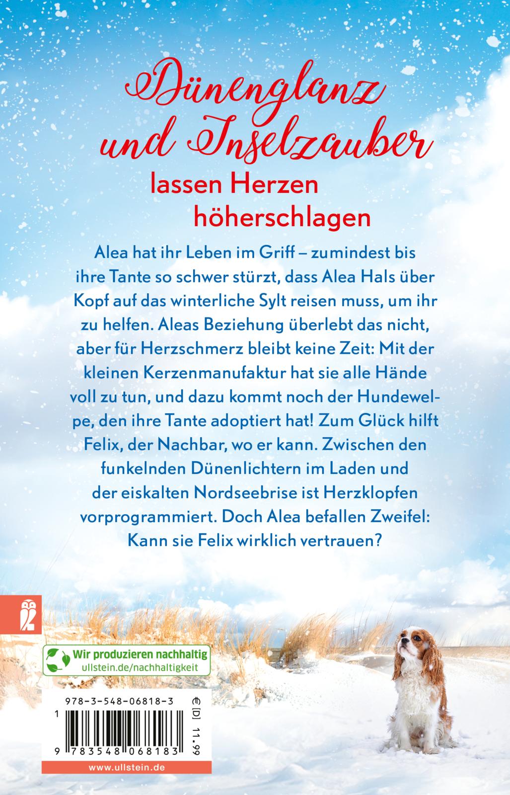 Winterträume in der kleinen Manufaktur am Meer (Mängelexemplar)