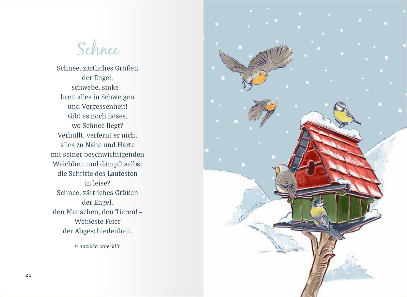 Die schönsten Geschichten aus dem Schnee (Mängelexemplar)