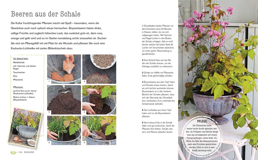 Kreativ mit Pflanzen - Deko-Ideen für drinnen und draußen