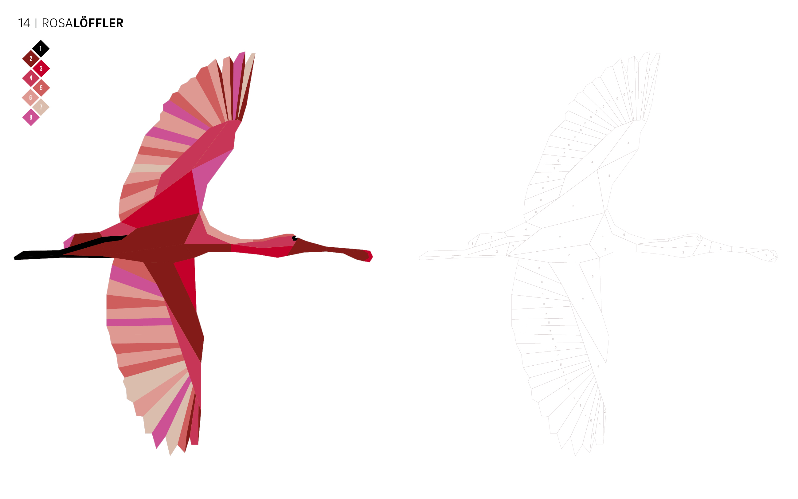 Tierisch geometrisch - Malen nach Zahlen: Lieblingsvögel ausmalen (Mängelexemplar)