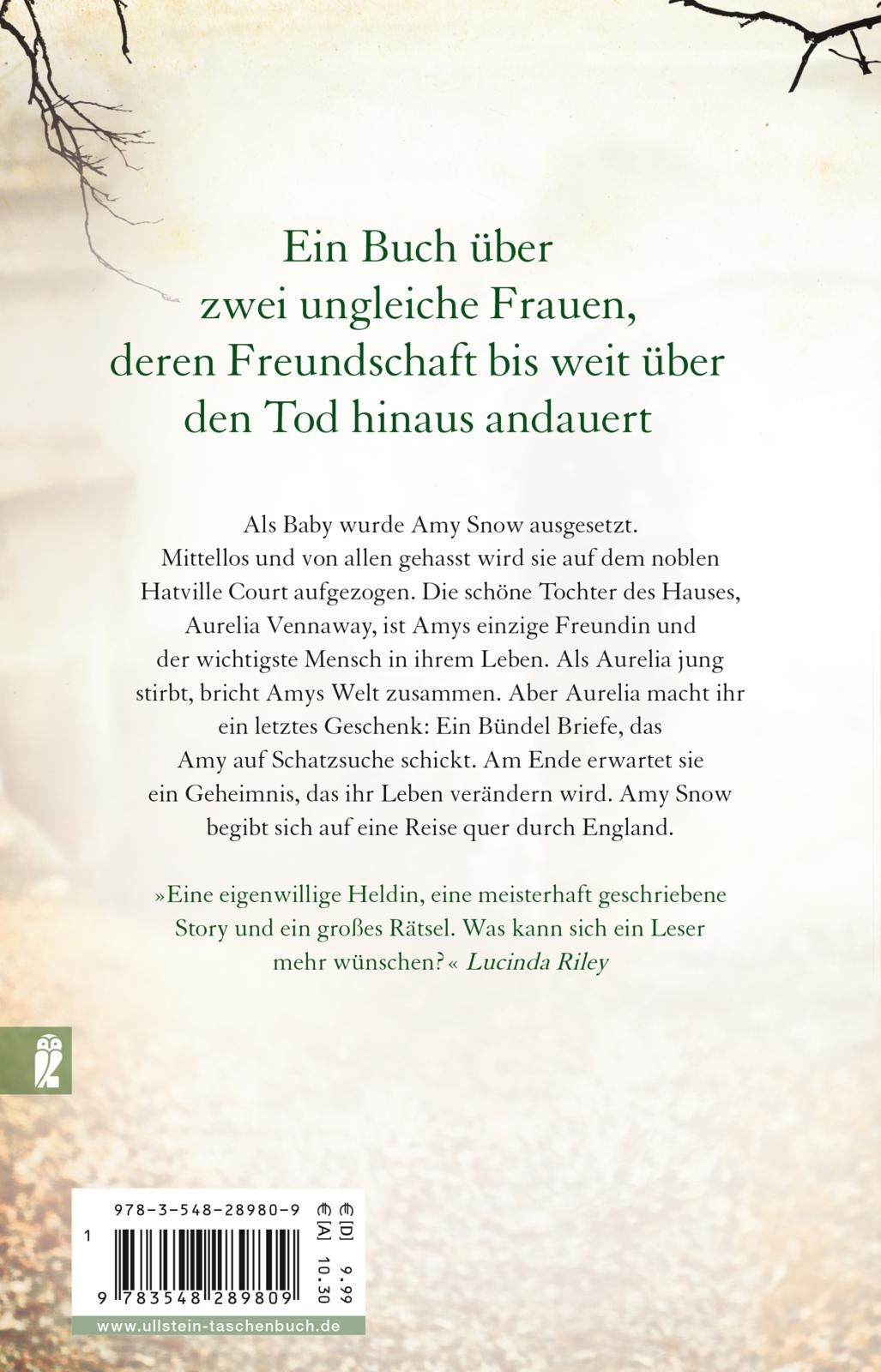 Die Reise der Amy Snow (Mängelexemplar)