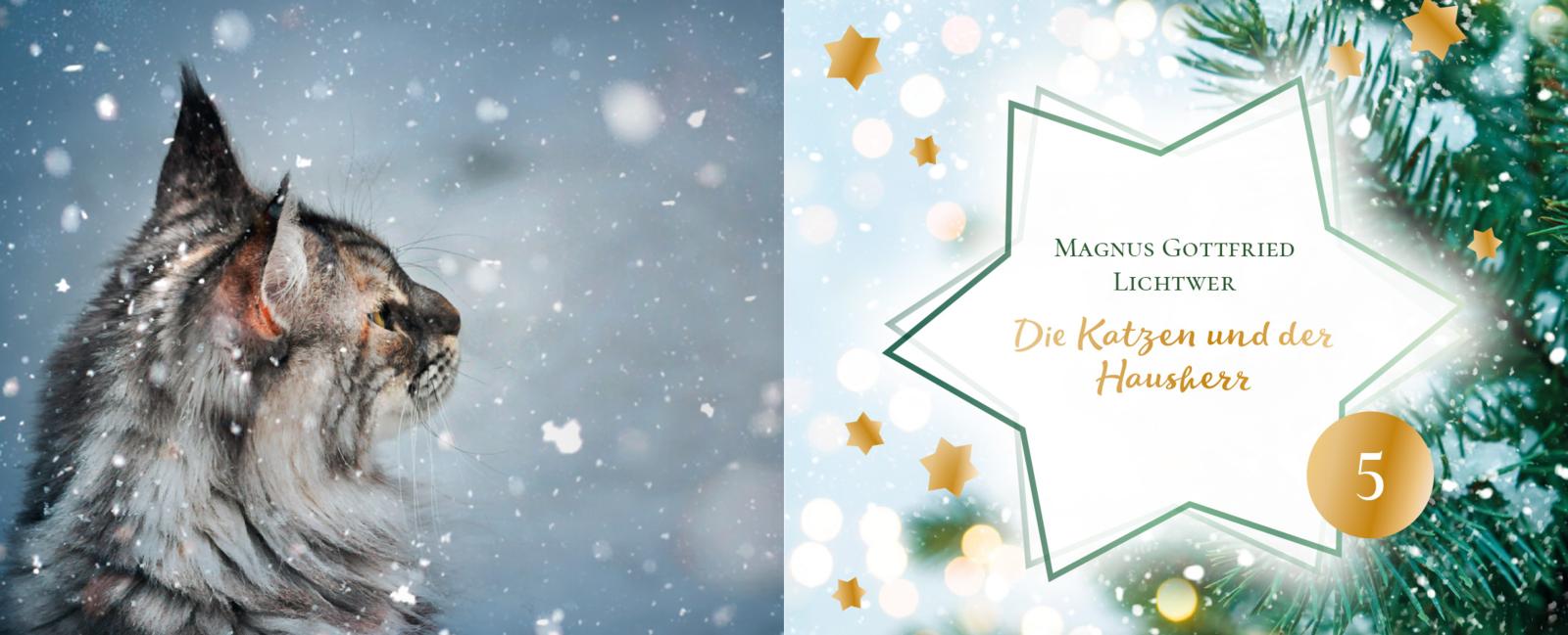 24 Katzengeschichten - Ein Adventsbuch zum Aufschneiden (Mängelexemplar)