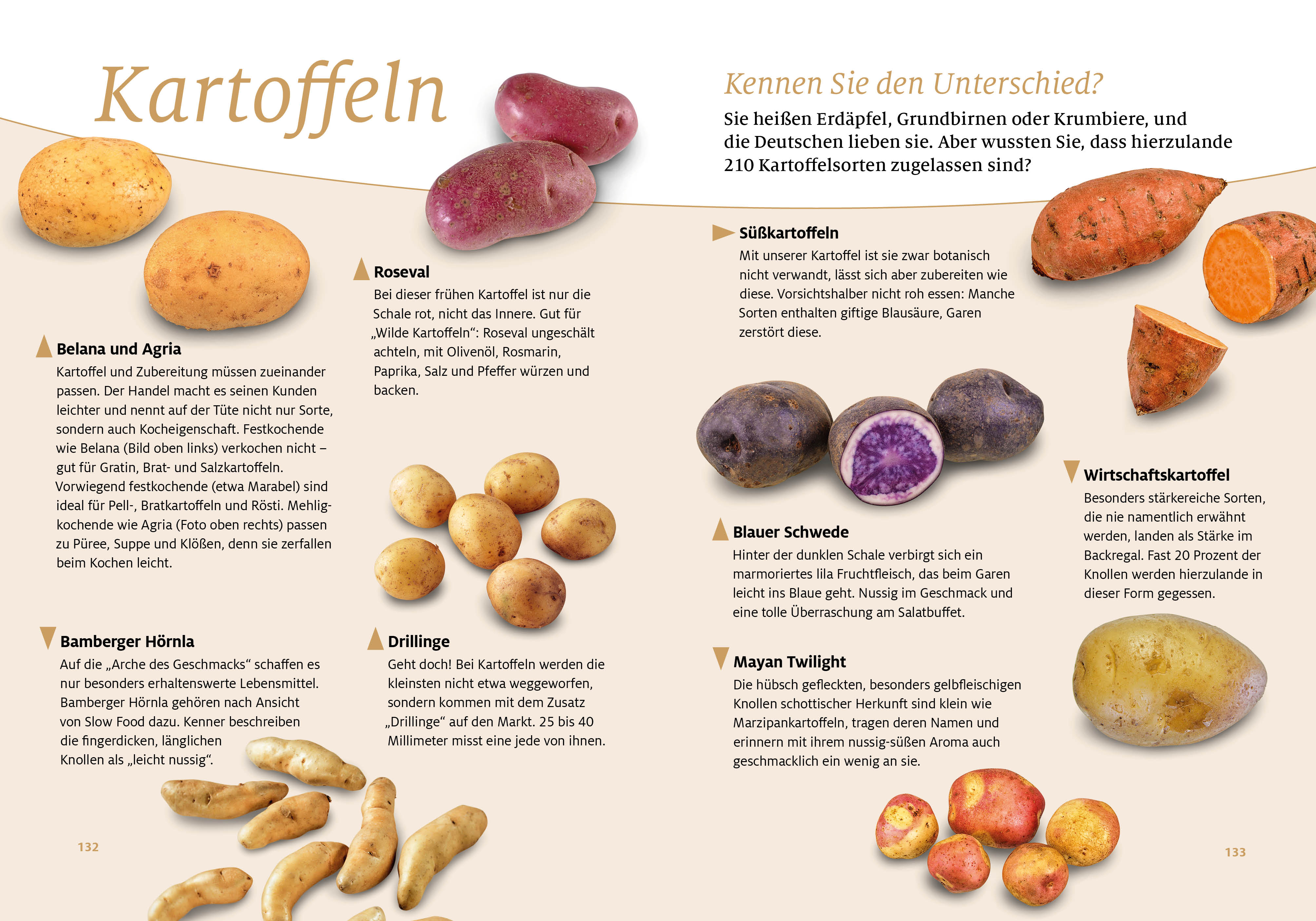 Senioren Ratgeber: Schnelle, frische Küche für zwei (Mängelexemplar)