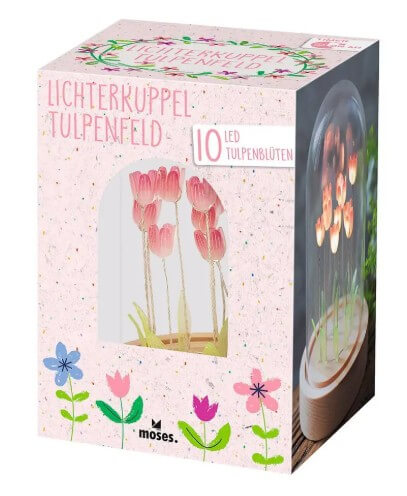 X_Lichterkuppel Tulpenfeld