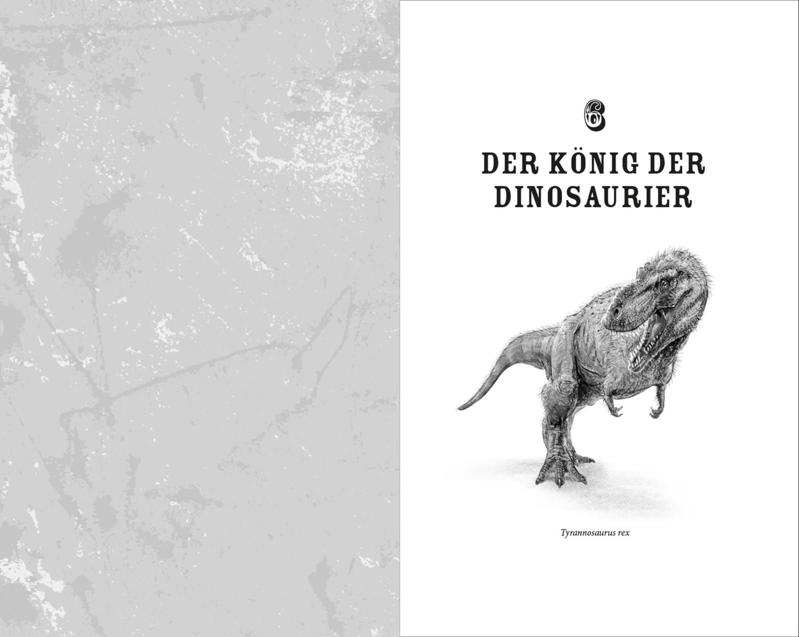 Aufstieg und Fall der Dinosaurier - Eine neue Geschichte der Urzeitgiganten