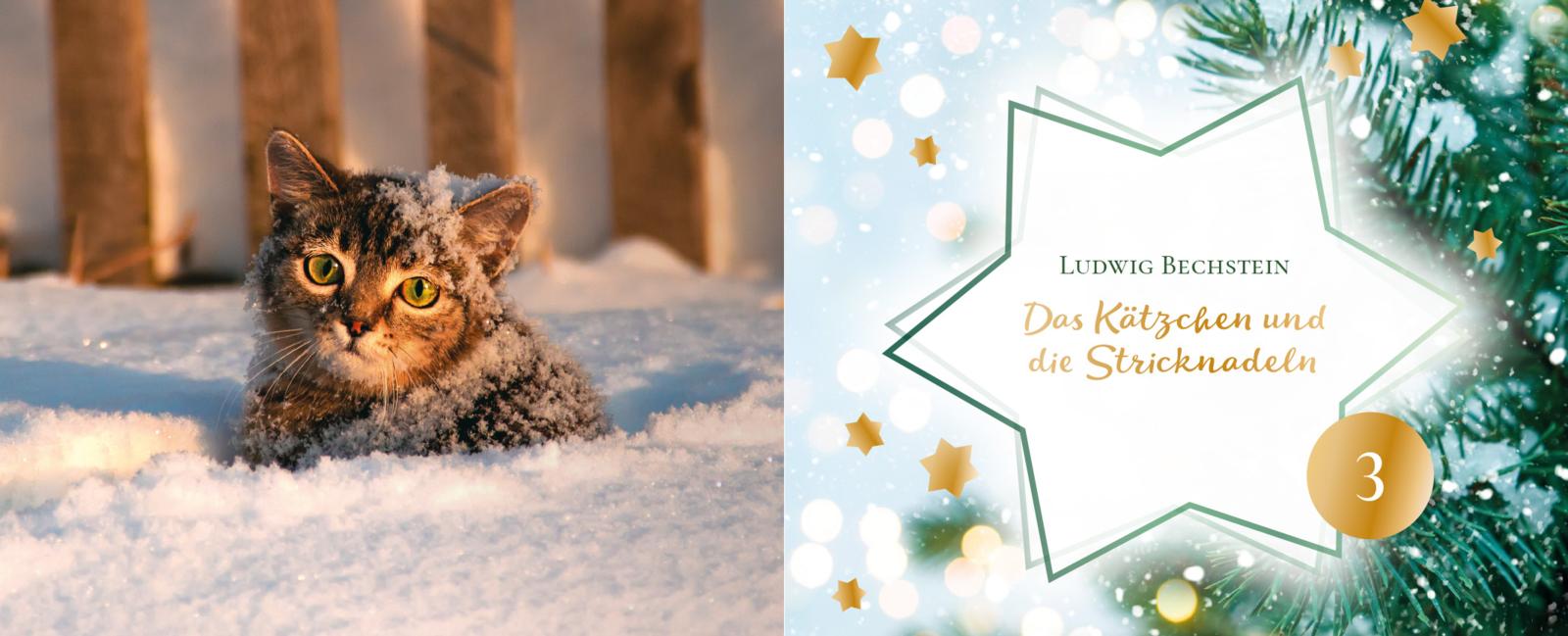 24 Katzengeschichten - Ein Adventsbuch zum Aufschneiden (Mängelexemplar)