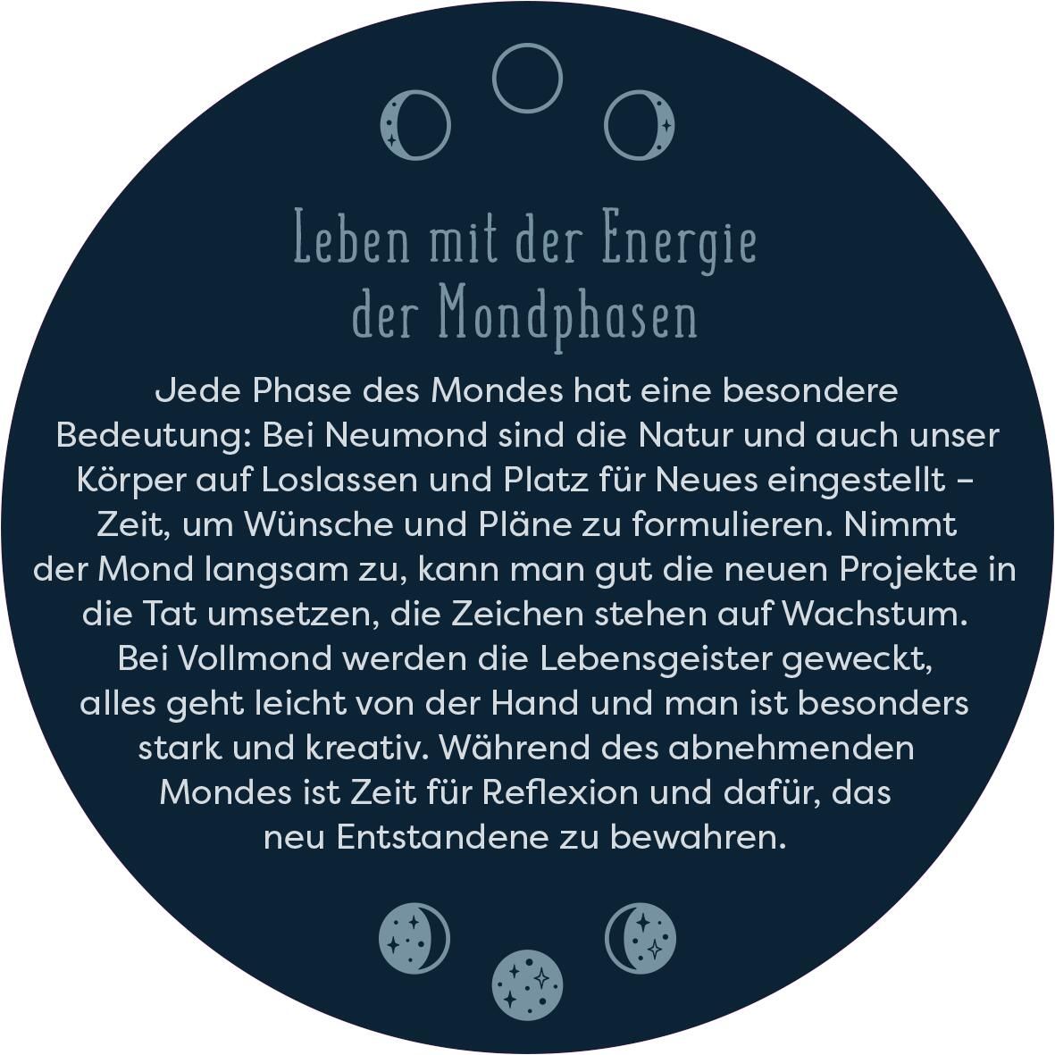 Adventskalender in der Dose. Magische Momente (Mängelexemplar)