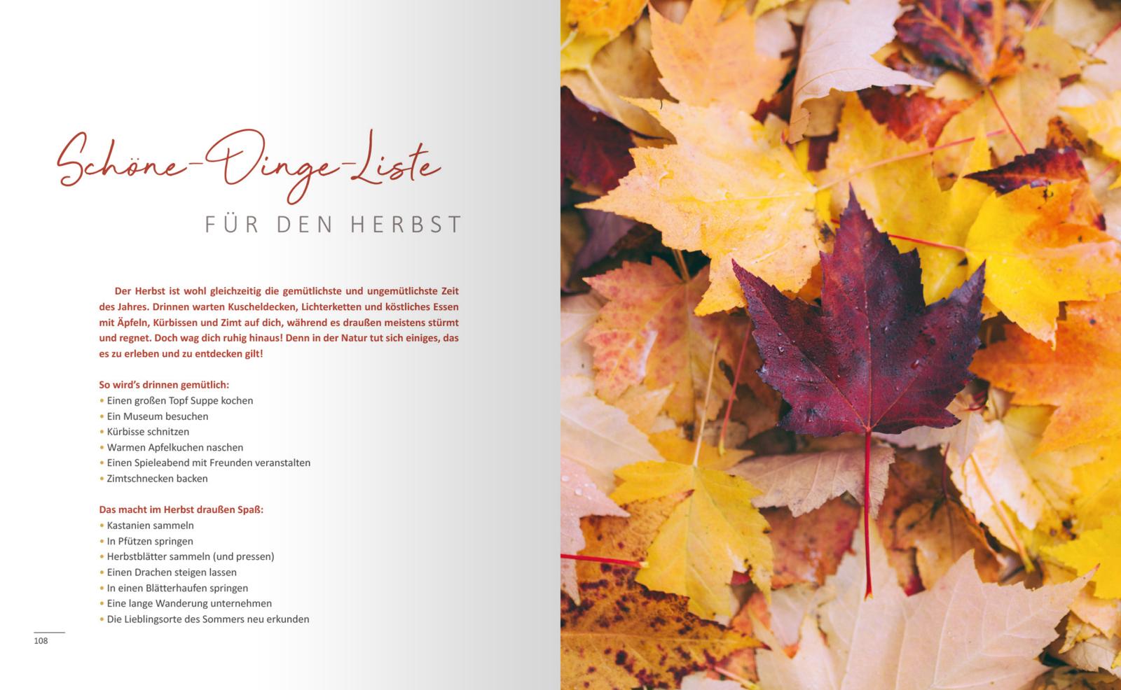 Ein Buch, vier Jahreszeiten - Wohlfühlideen, Rezepte und Geschichten (Mängelexemplar)