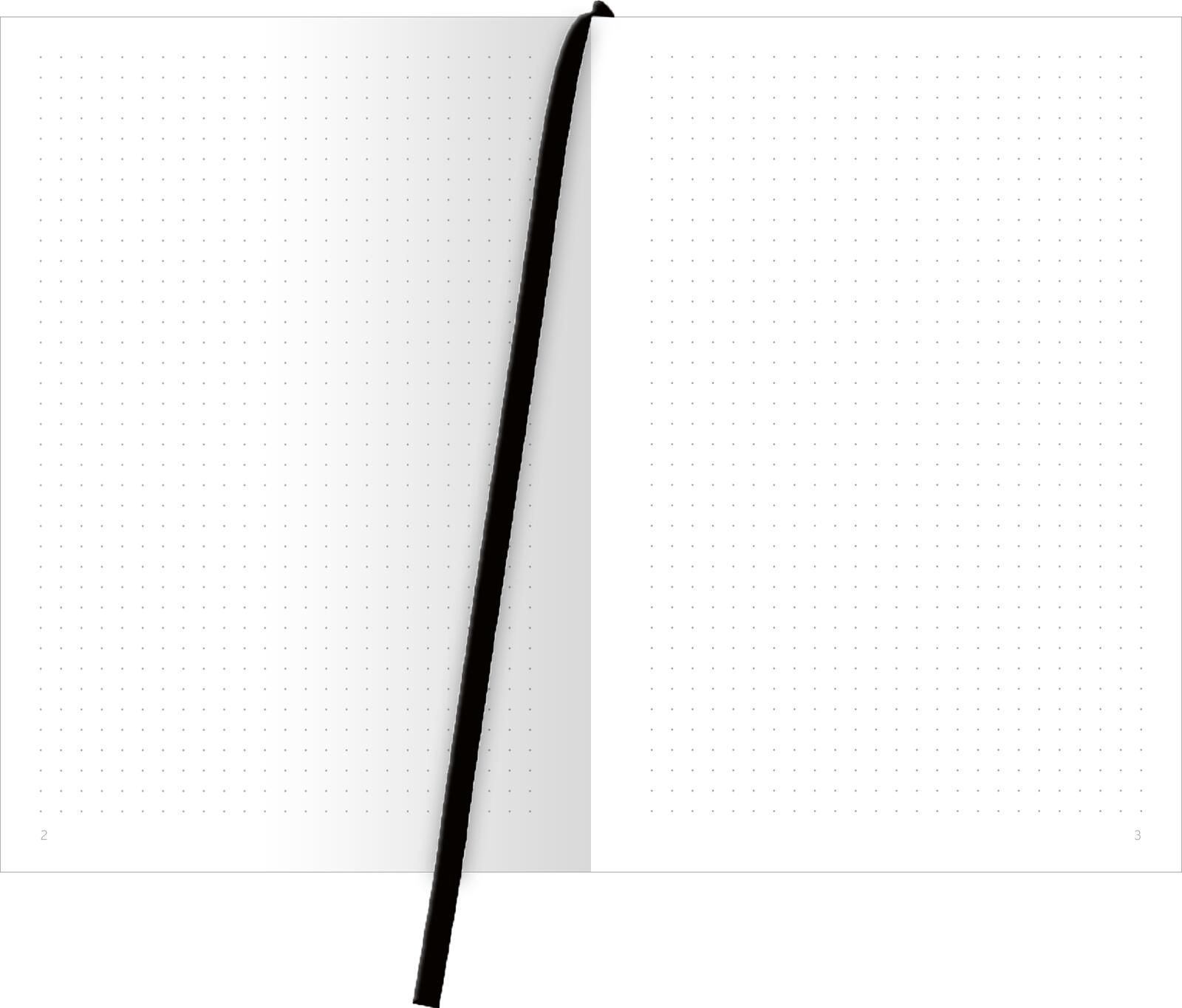 Böse Sprüche Notizbuch A5: Please dont't interrupt me while I'm ignoring you