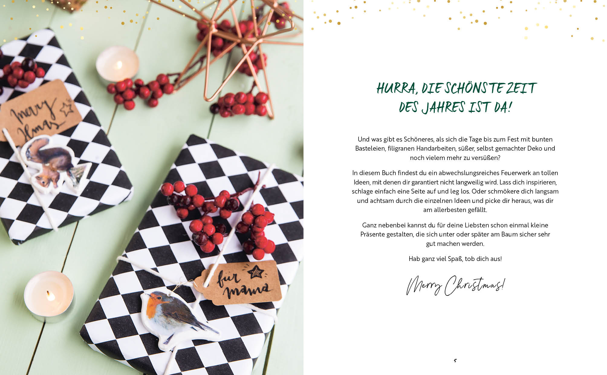 DIY – Do it yourself – Merry christmas (Mängelexemplar)