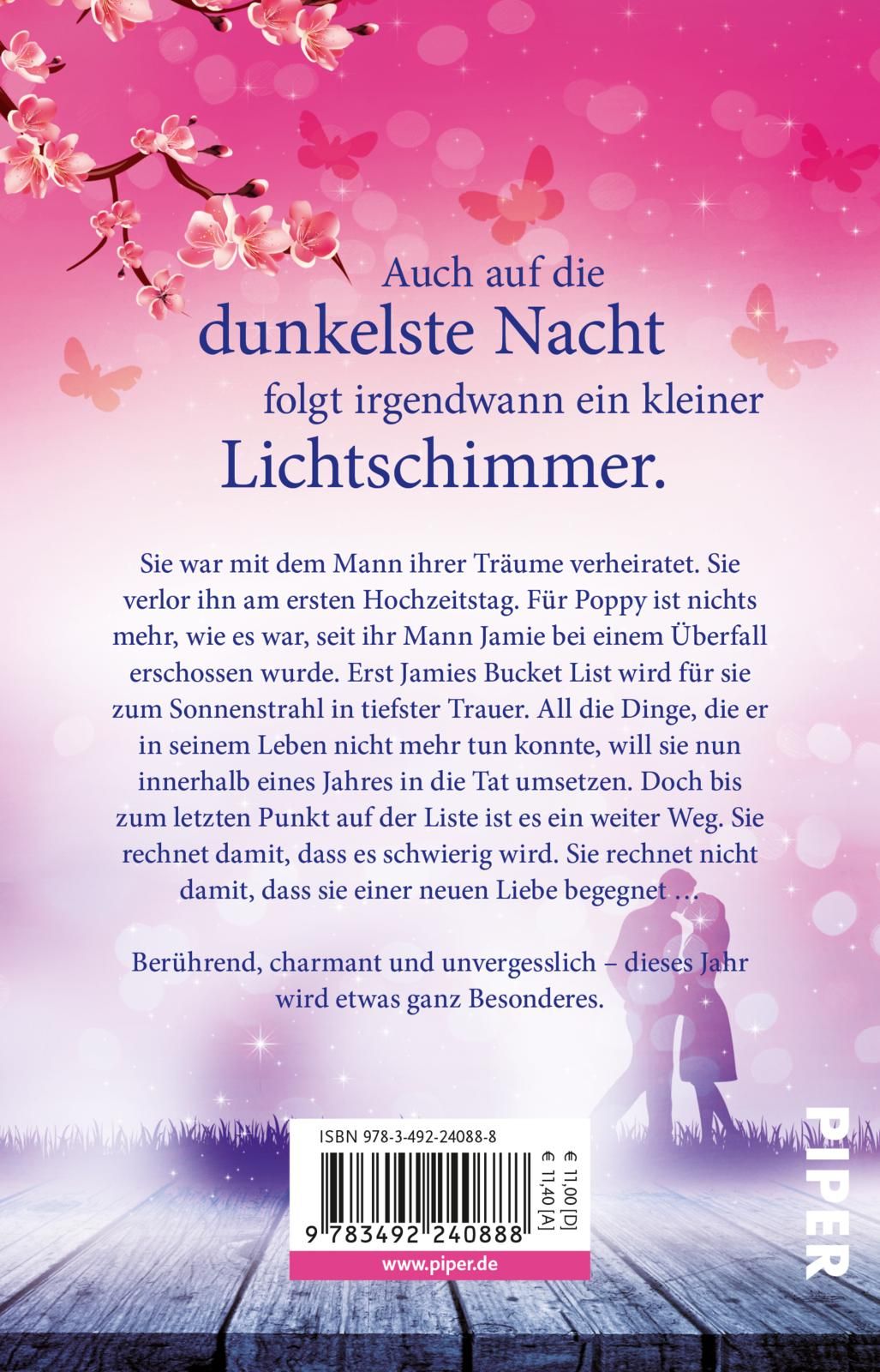 Ein Sonnenstrahl im Regen (Mängelexemplar)