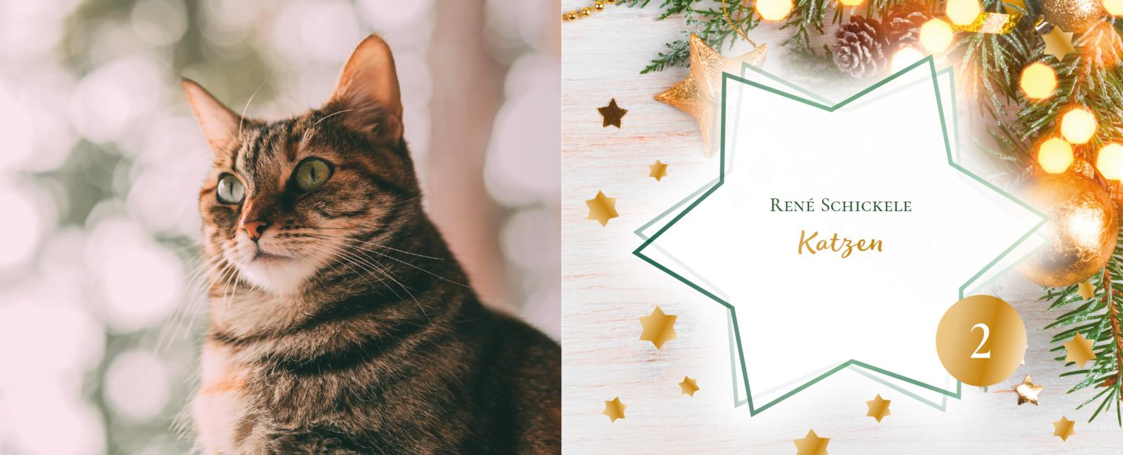 24 Katzengeschichten - Ein Adventsbuch zum Aufschneiden (Mängelexemplar)