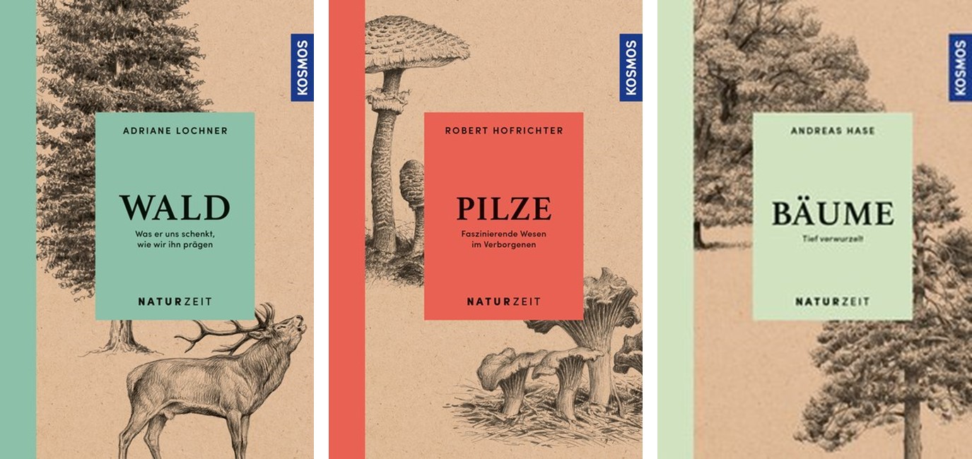 Sparpaket - Naturzeit Wald, Bäume & Pilze