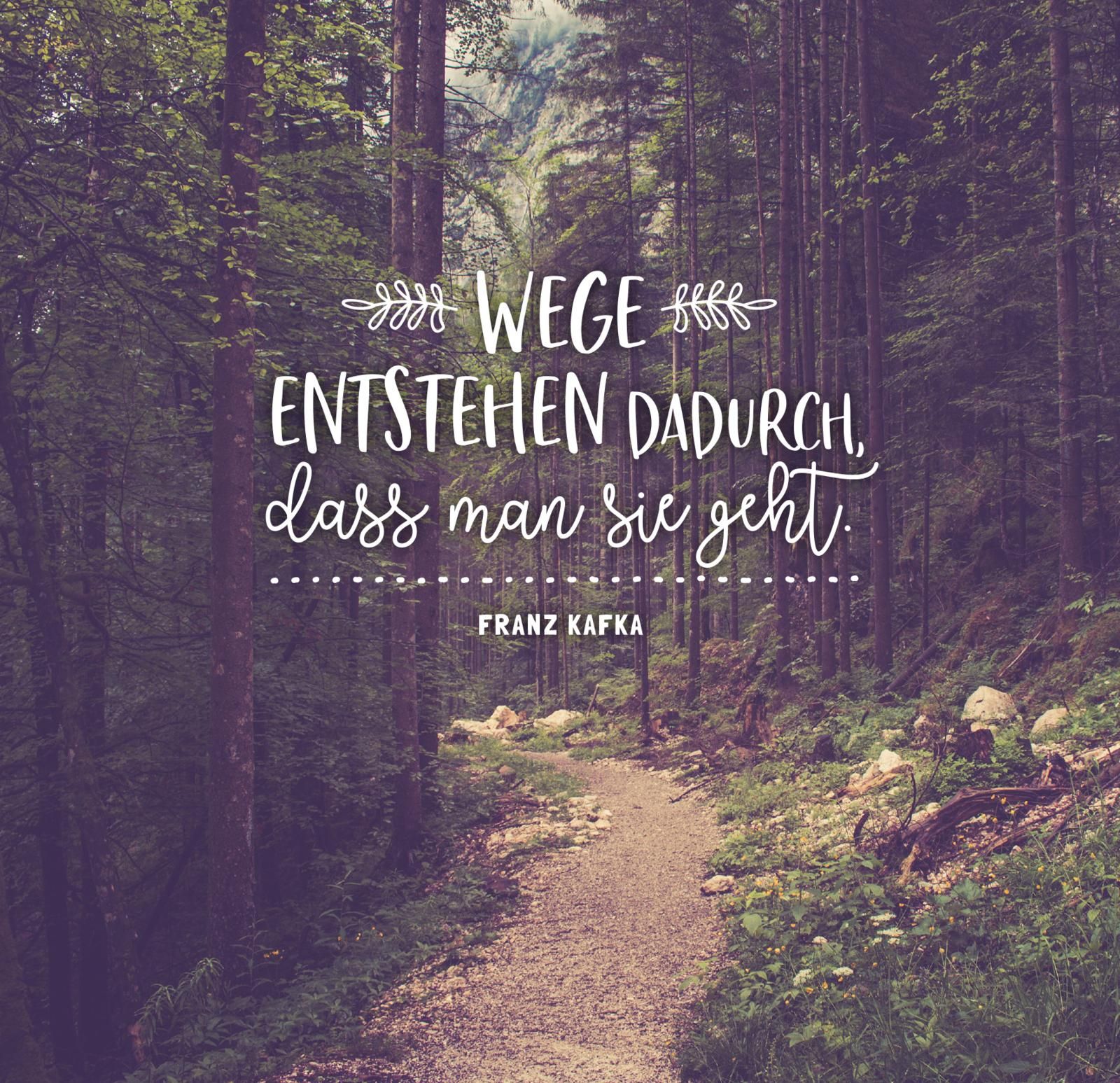 56f196849dc3124a300c8d2861845c591640189421