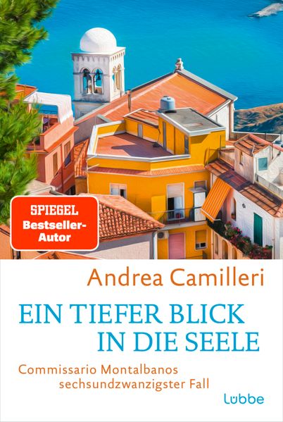 Ein tiefer Blick in die Seele (Mängelexemplar)