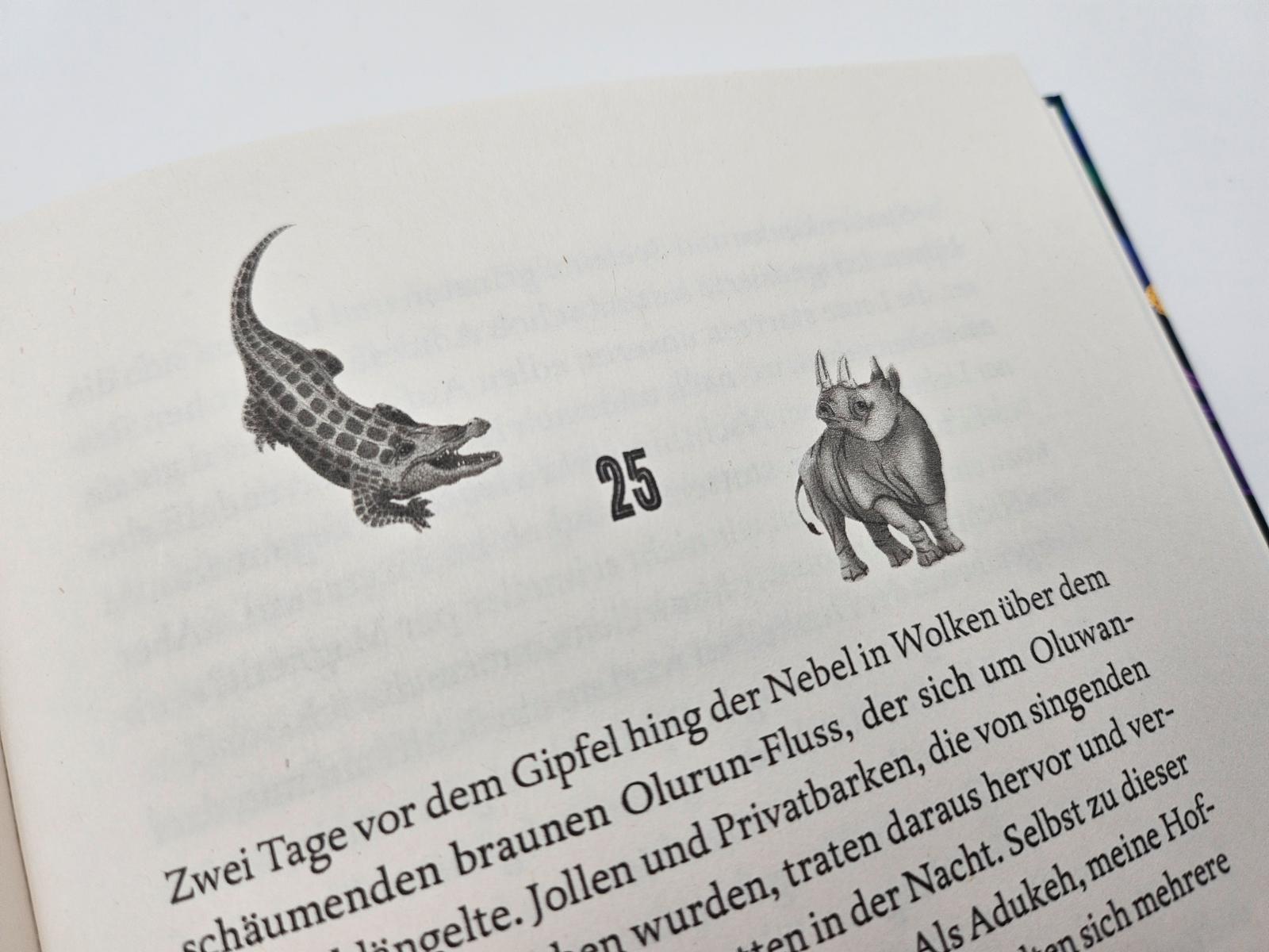 Raybearer – Der Pakt der Abiku (Mängelexemplar)