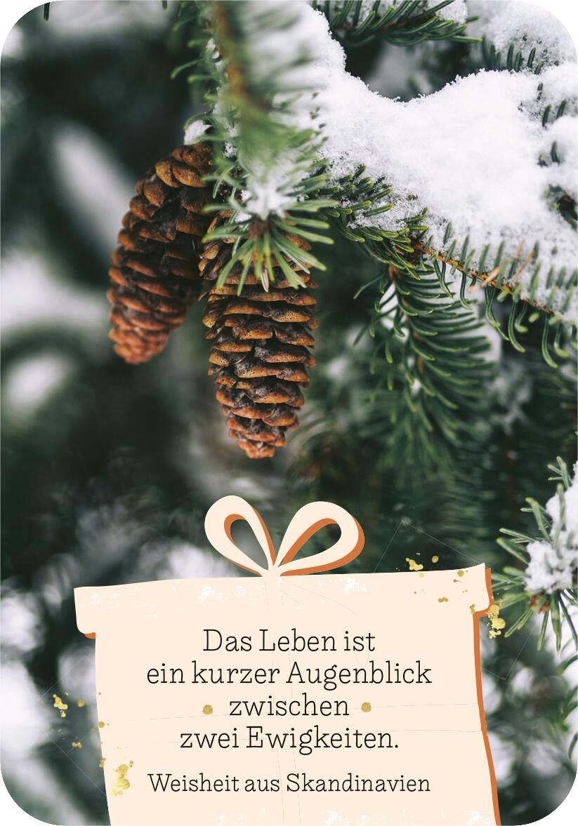 Adventszauber für dich (Mängelexemplar)