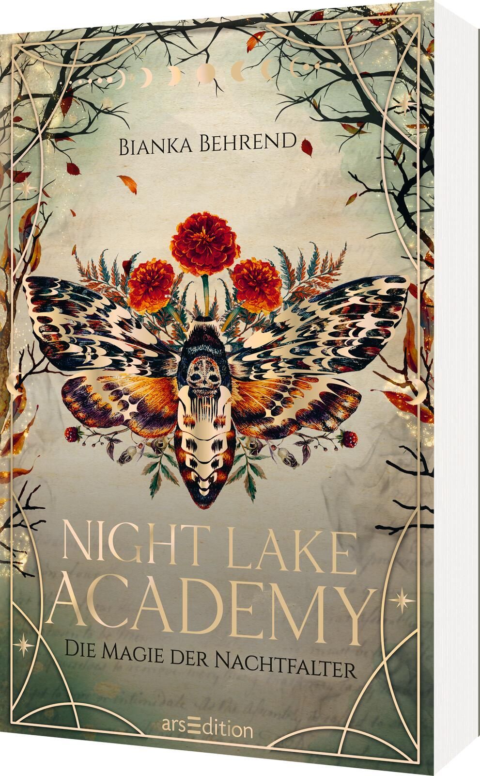 Sparpaket - Night Lake Academy (Band 1 + 2) (Mängelexemplare)