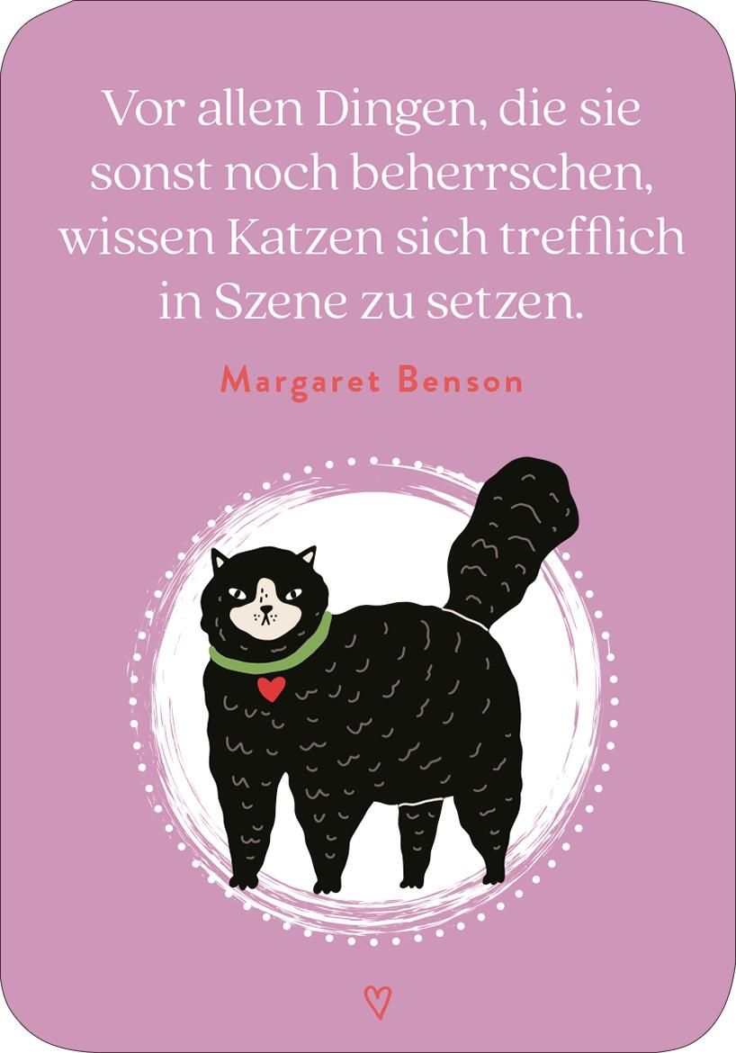MIEZNachrichten für jede Lebenslage (Mängelexemplar)