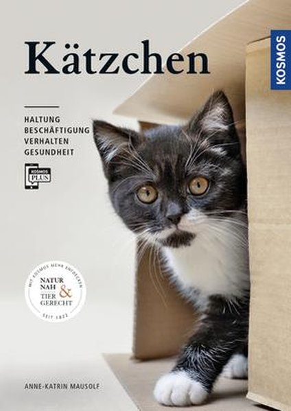 Kätzchen - Haltung, Beschäftigung, Verhalten, Gesundheit
