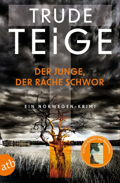 Der Junge, der Rache schwor (Mängelexemplar)