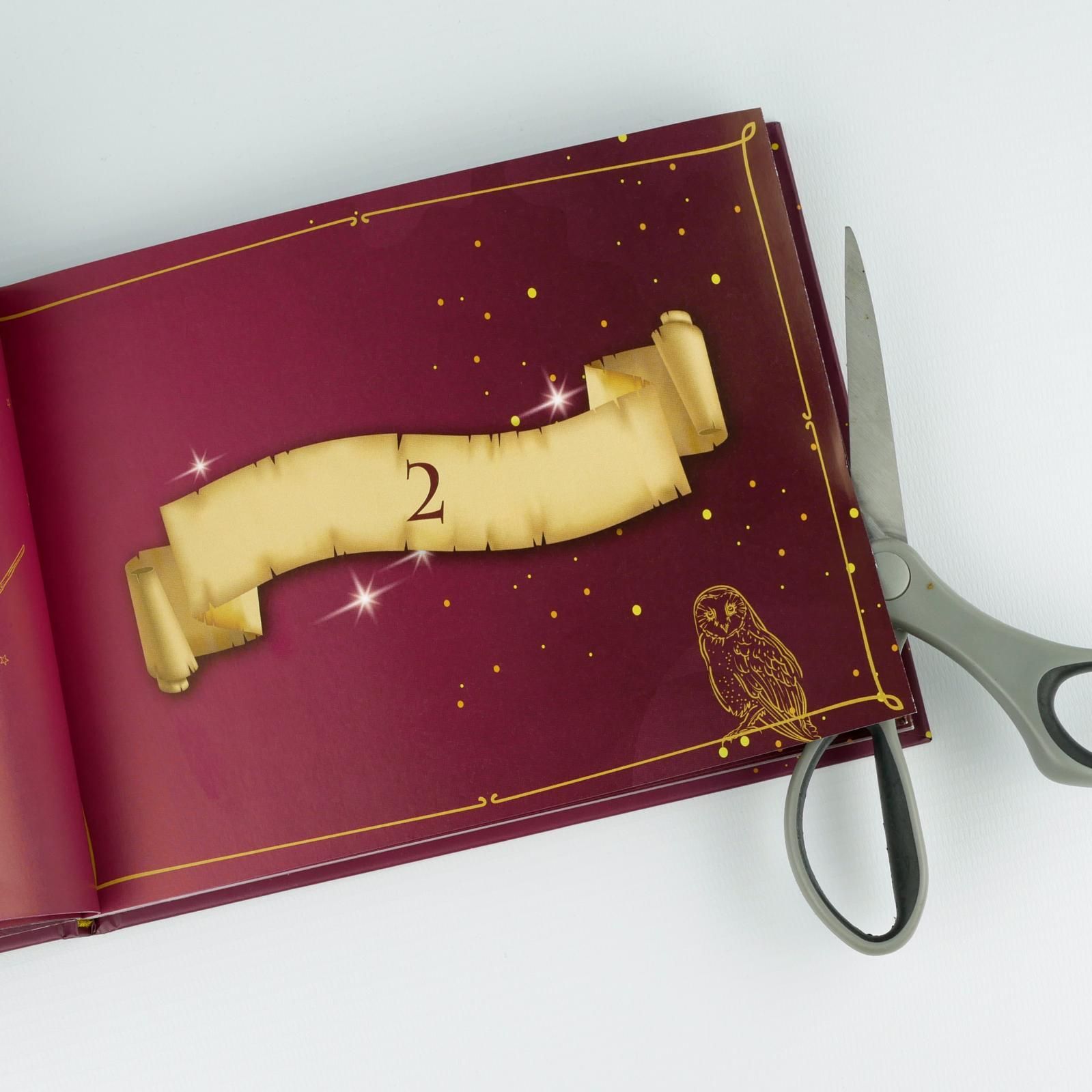Rezept-Adventskalender für Potter-Fans 2 (Mängelexemplar)