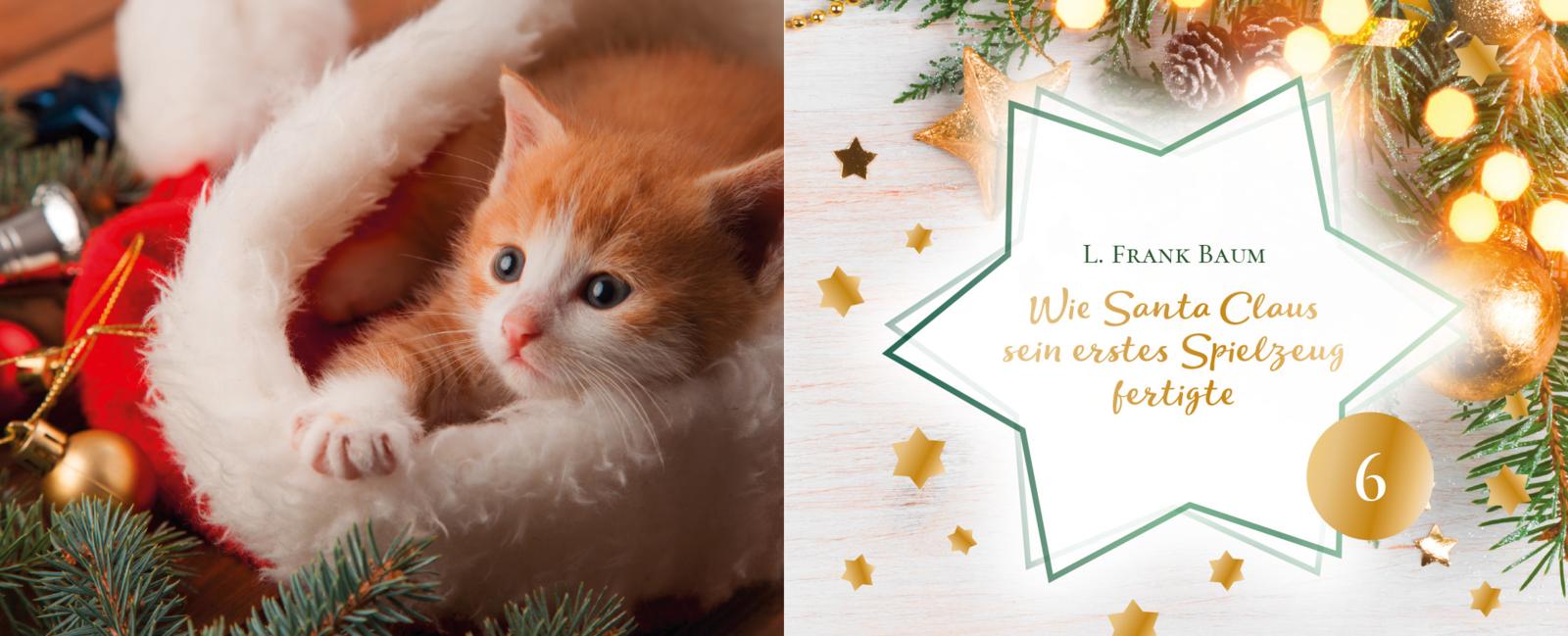 24 Katzengeschichten - Ein Adventsbuch zum Aufschneiden (Mängelexemplar)