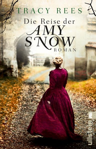 Die Reise der Amy Snow (Mängelexemplar)