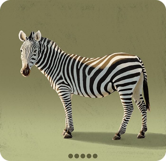 X_Blitz Zebra Astronaut - Das Wortkettenspiel