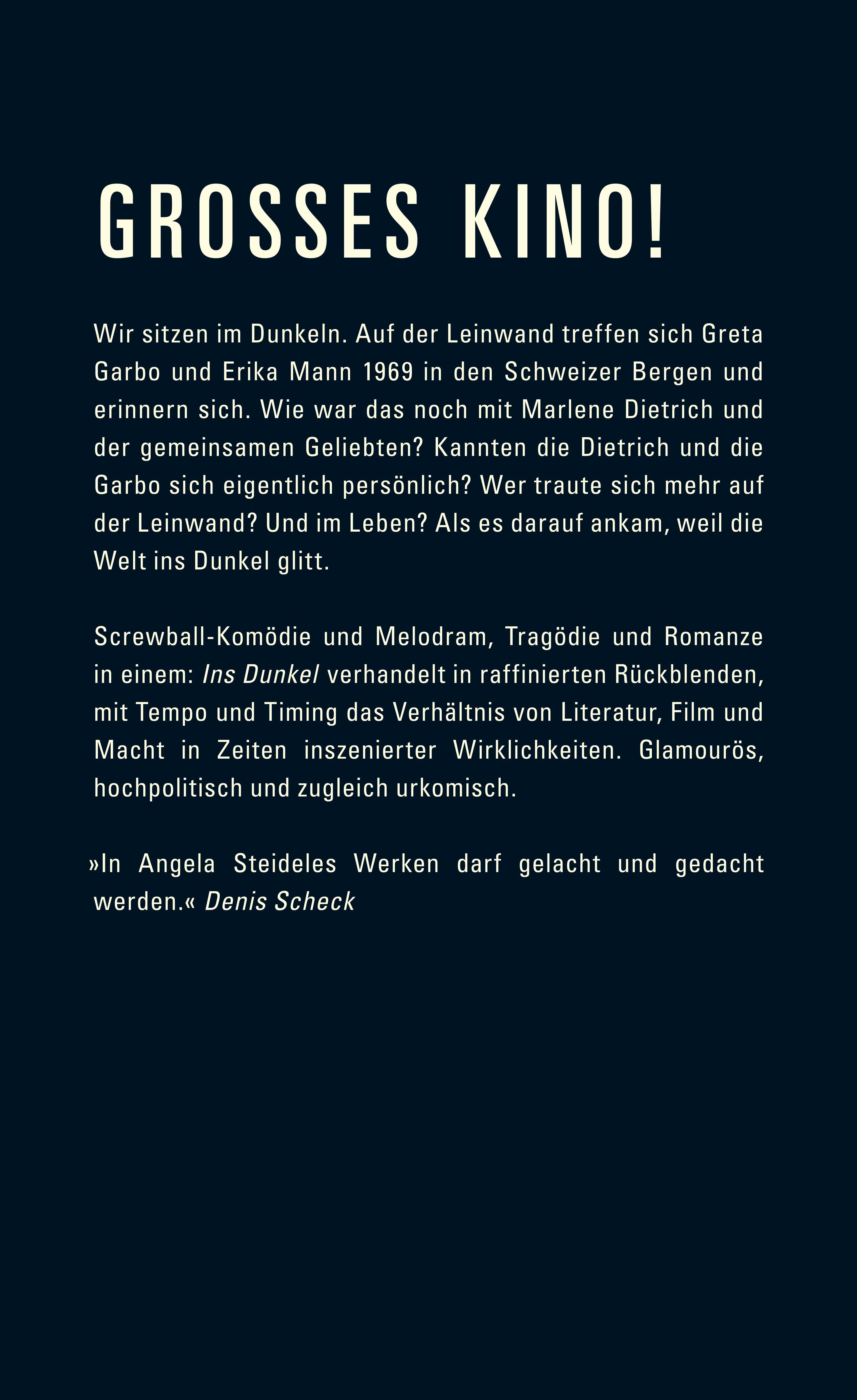 Ins Dunkel (Mängelexemplar)