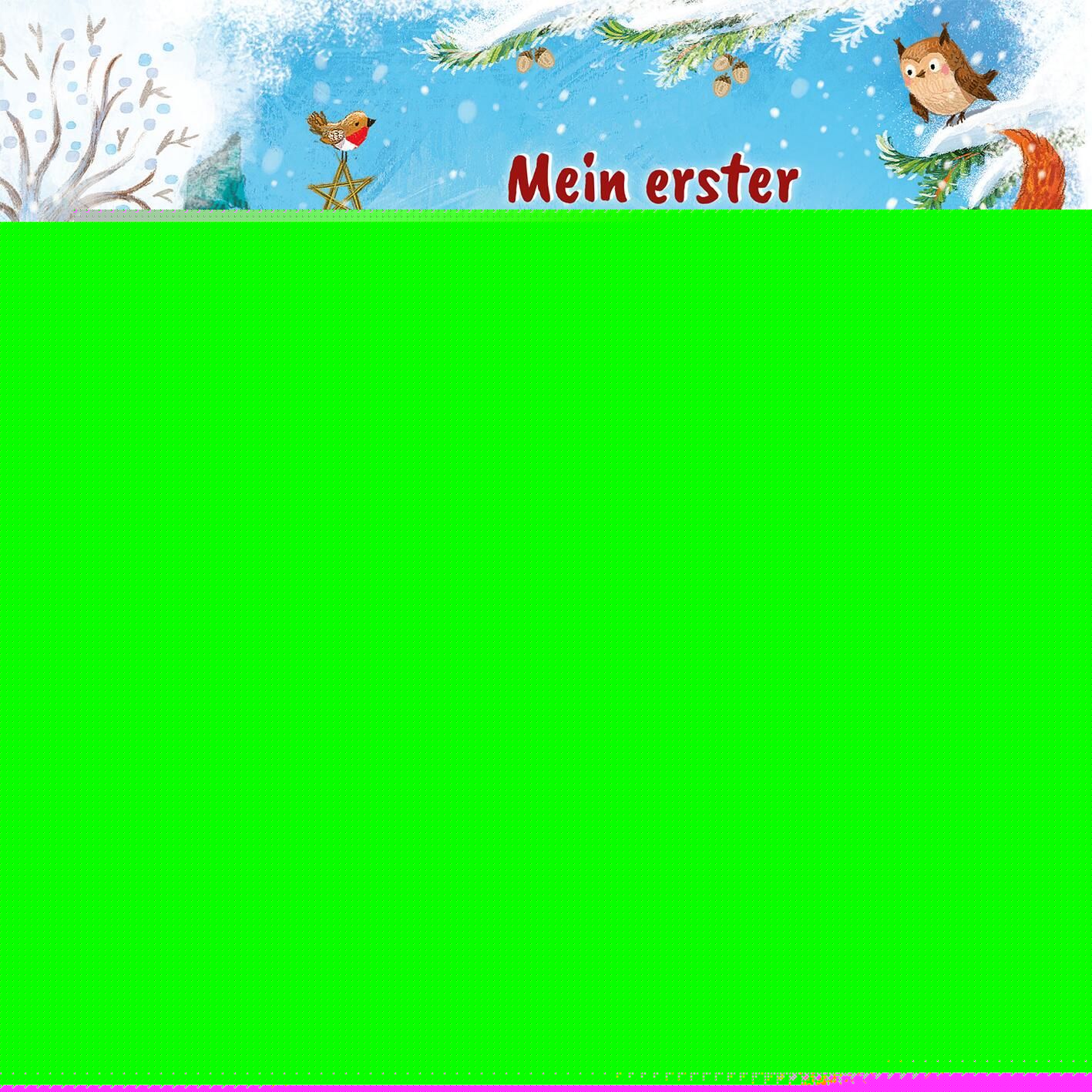 Mein erster Adventskalender (Mängelexemplar)