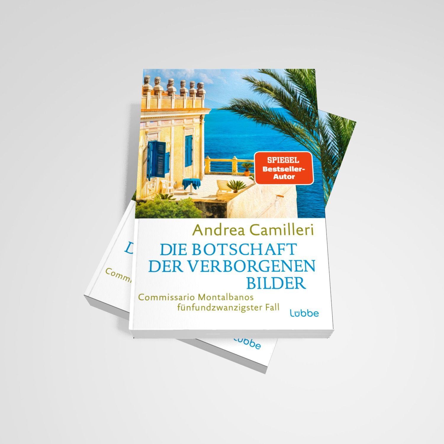 Die Botschaft der verborgenen Bilder (Mängelexemplar)