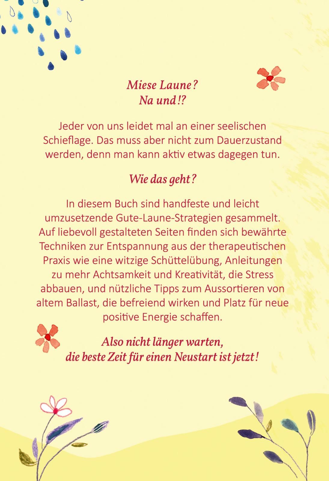 Wolkig bis heiter - Bunte Ideen für graue Tage (Mängelexemplar)