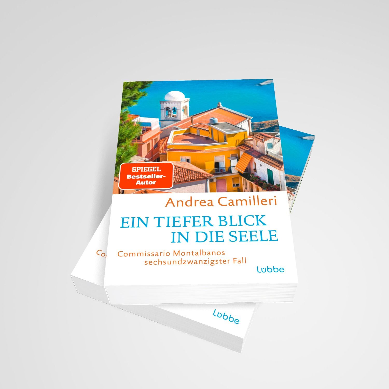 Ein tiefer Blick in die Seele (Mängelexemplar)
