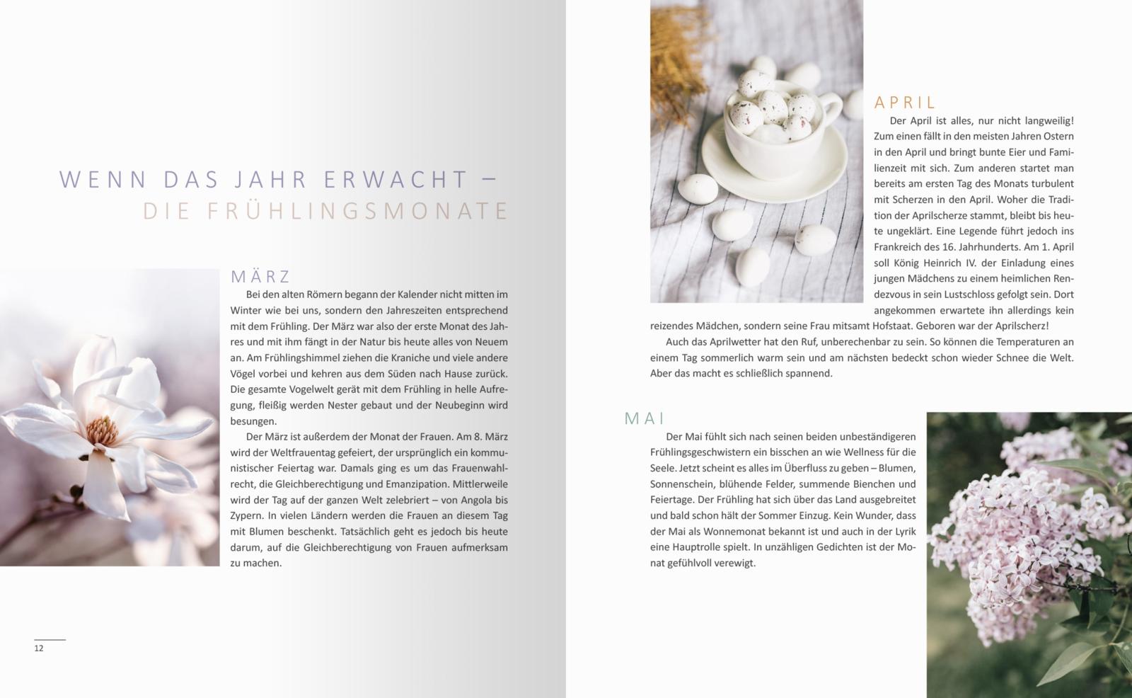 Ein Buch, vier Jahreszeiten - Wohlfühlideen, Rezepte und Geschichten (Mängelexemplar)