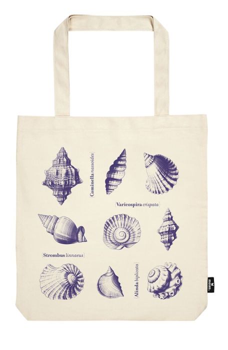 X_moses. libri_x Shopper Seashells