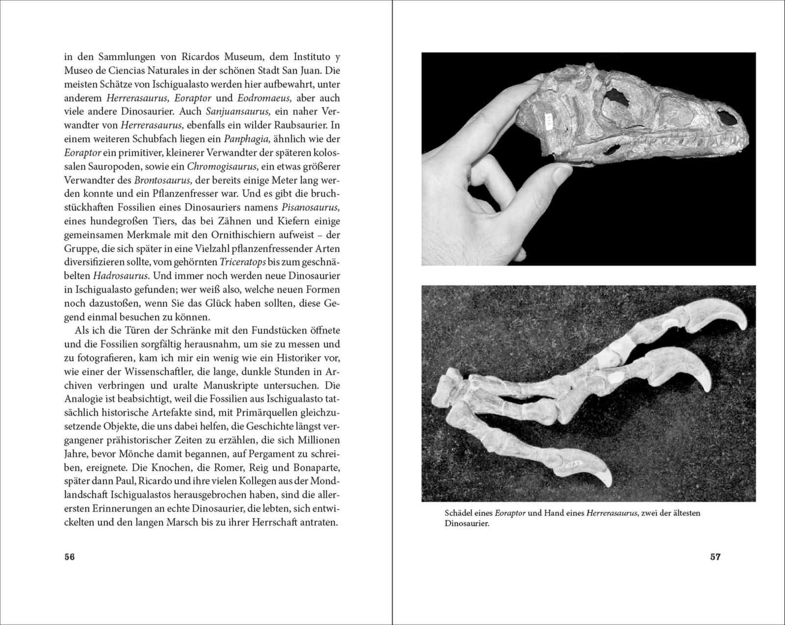 Aufstieg und Fall der Dinosaurier - Eine neue Geschichte der Urzeitgiganten