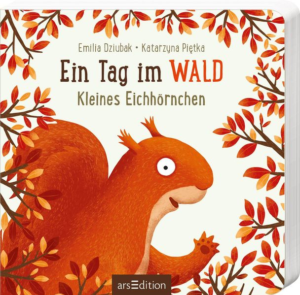 Sparpaket - 3 Pappbilderbücher "Im Wald"
