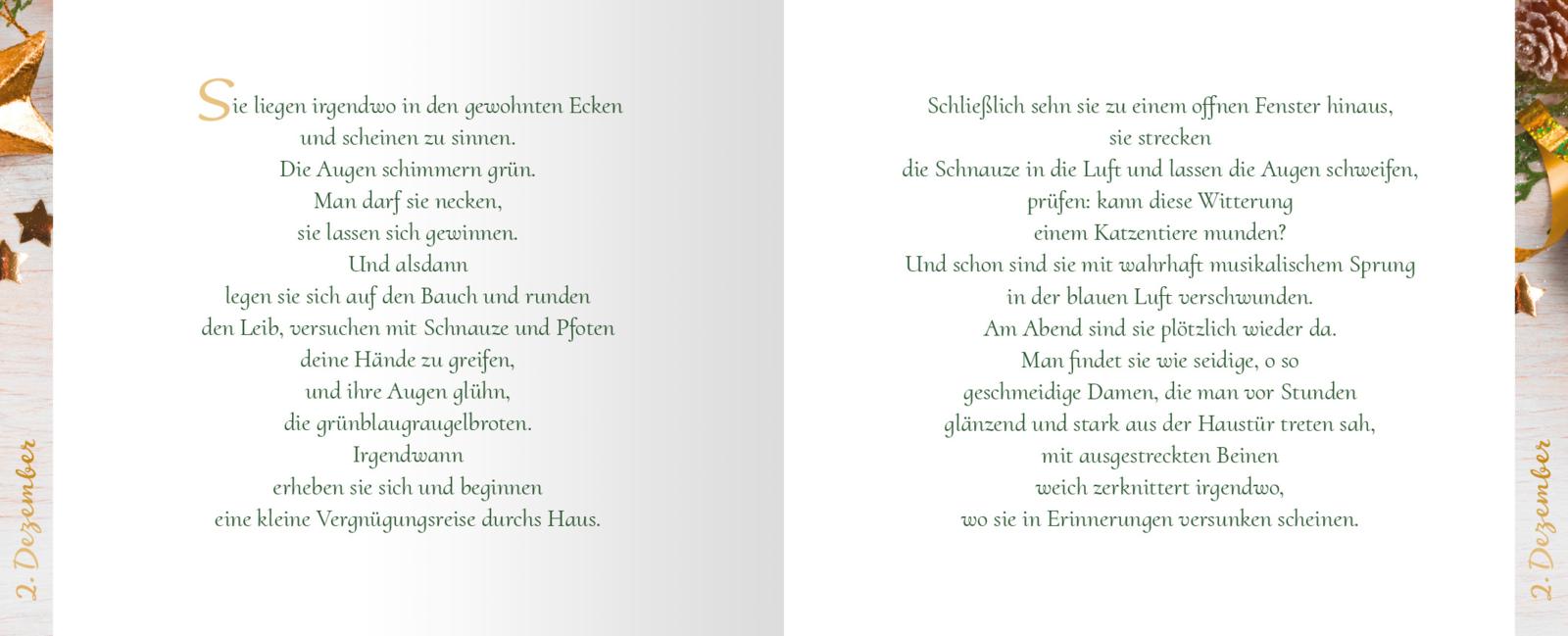 24 Katzengeschichten - Ein Adventsbuch zum Aufschneiden (Mängelexemplar)
