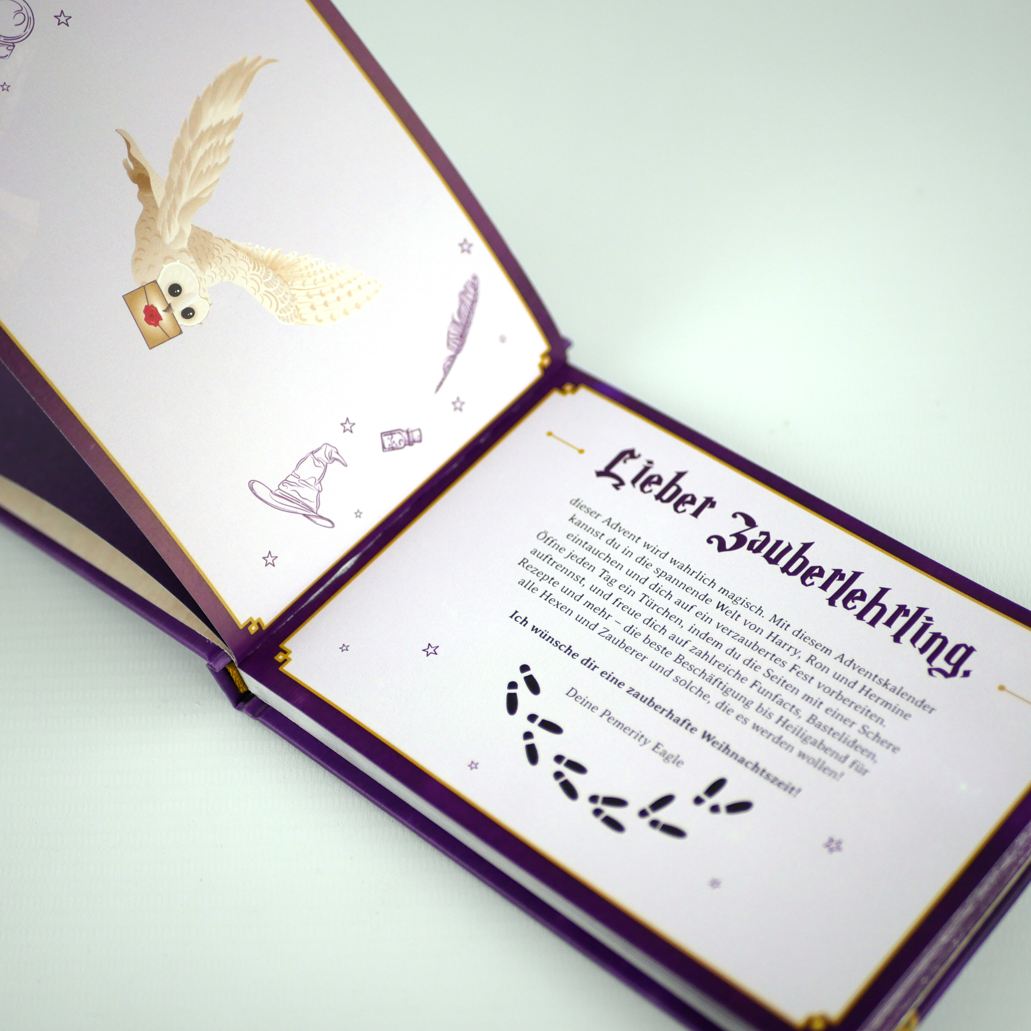 Der inoffizielle Adventskalender für Potter-Fans - 24 magische Türchen (Mängelexemplar)