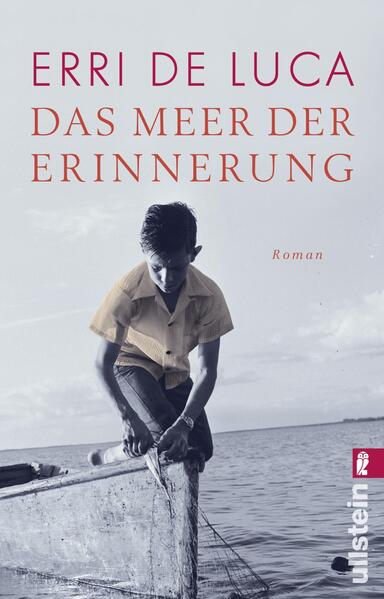 Das Meer der Erinnerung - Roman