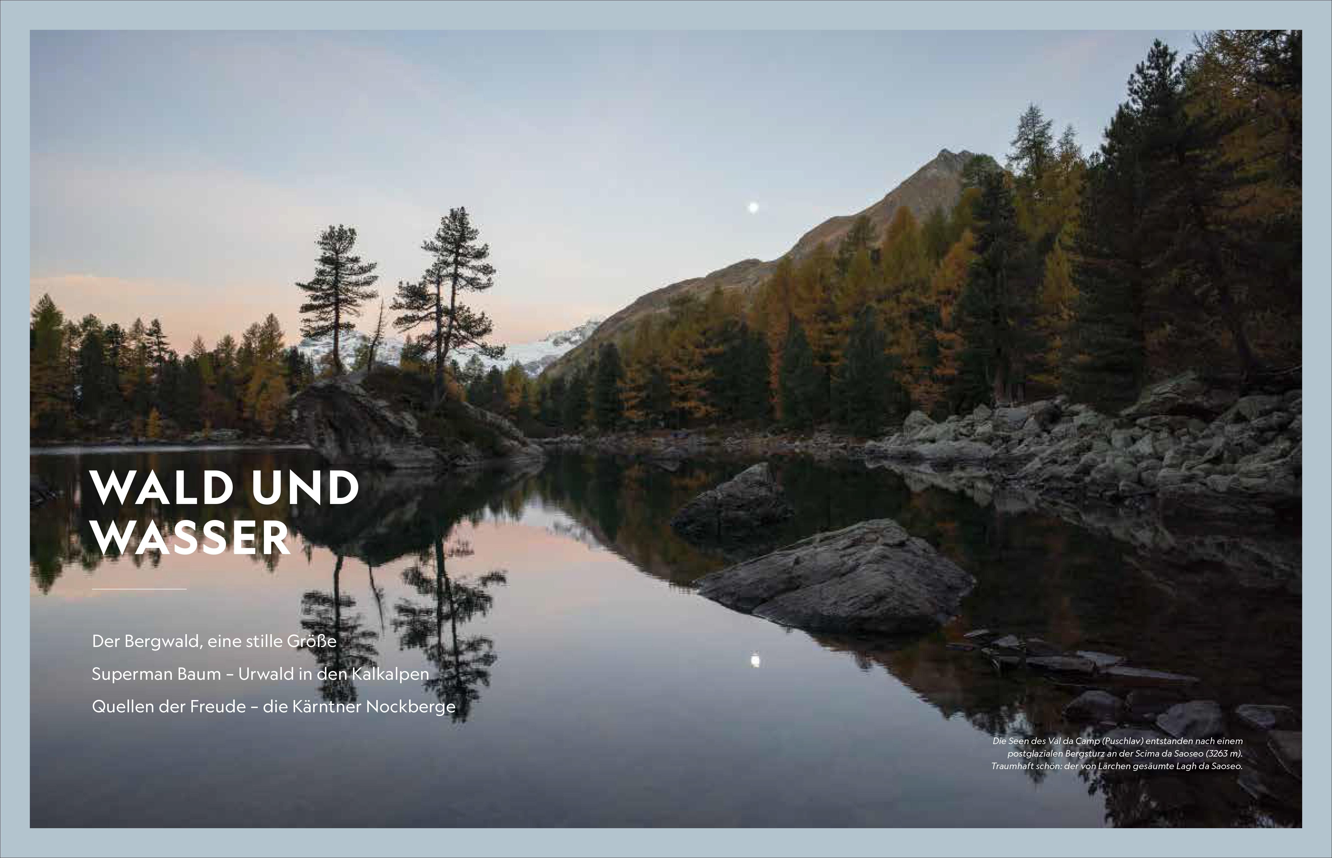 Das Wasser der Alpen (Mängelexemplar)