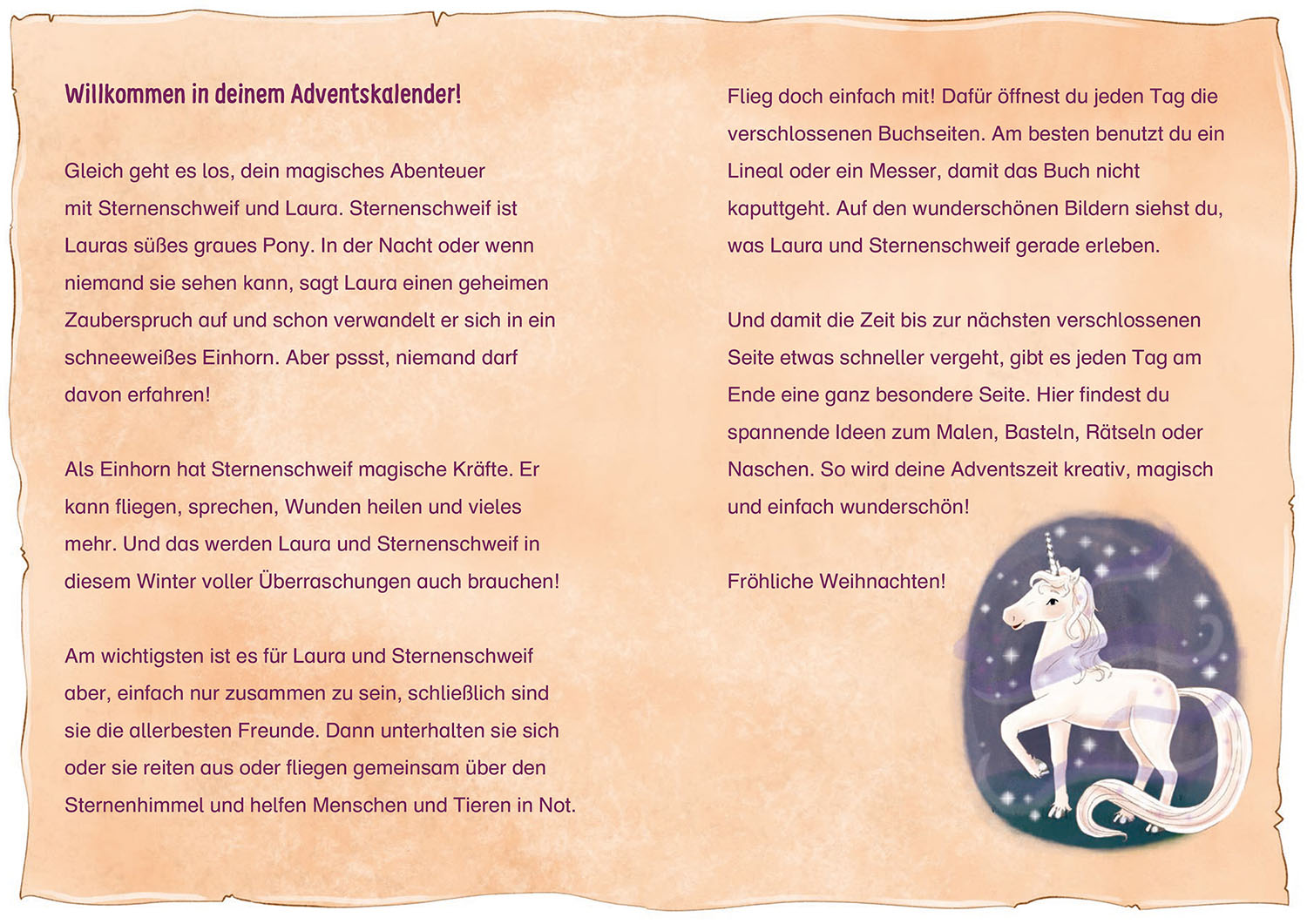 Adventskalender - Im Zauberwald (Mängelexemplar)