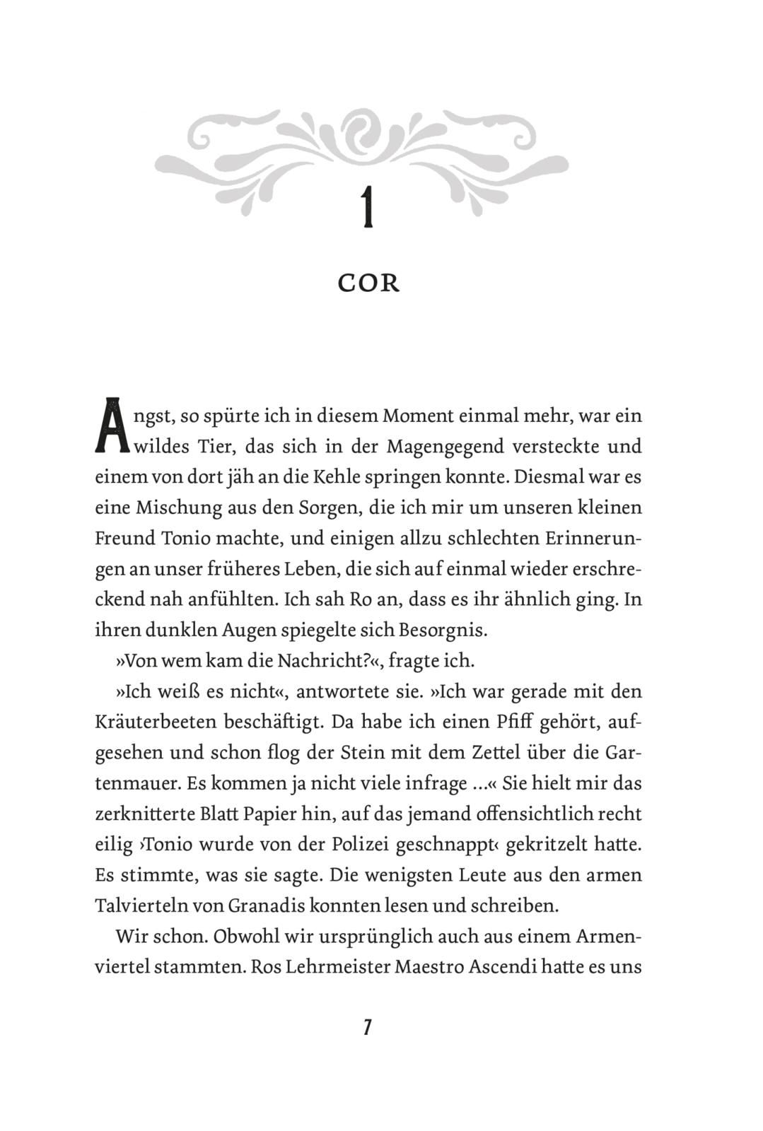 Stadt der Hexer und Betrüger (Stadt der Magier 3) (Mängelexemplar)