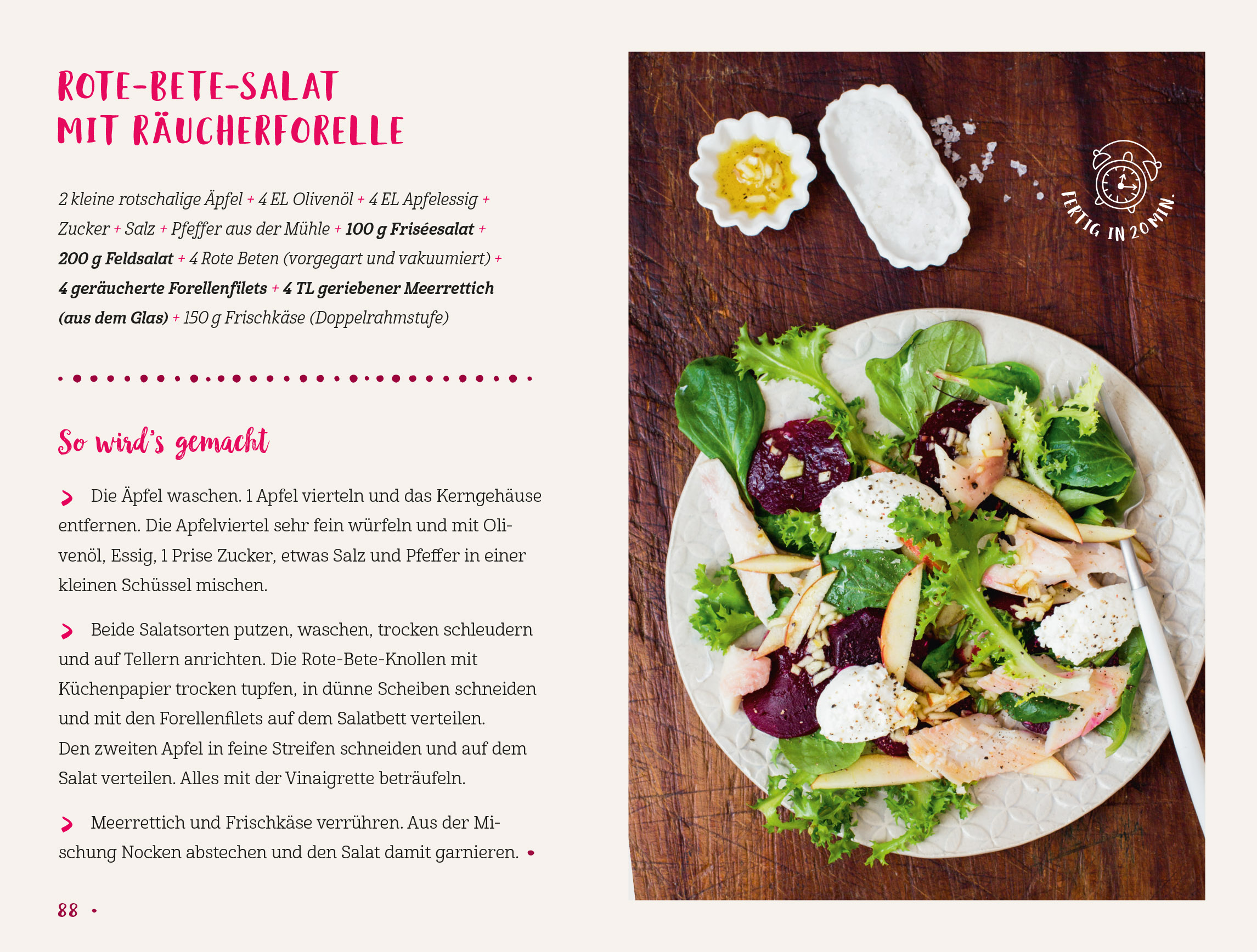 Mini-Kochbuch Schnelle Abendessen - einfach, gesund und lecker (Mängelexemplar)