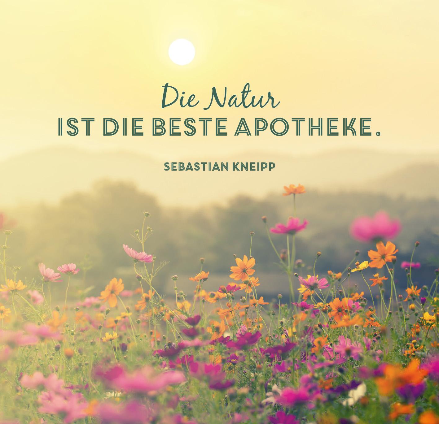 1acd1ce4de6fcfd6ee734d5f280438291709729521