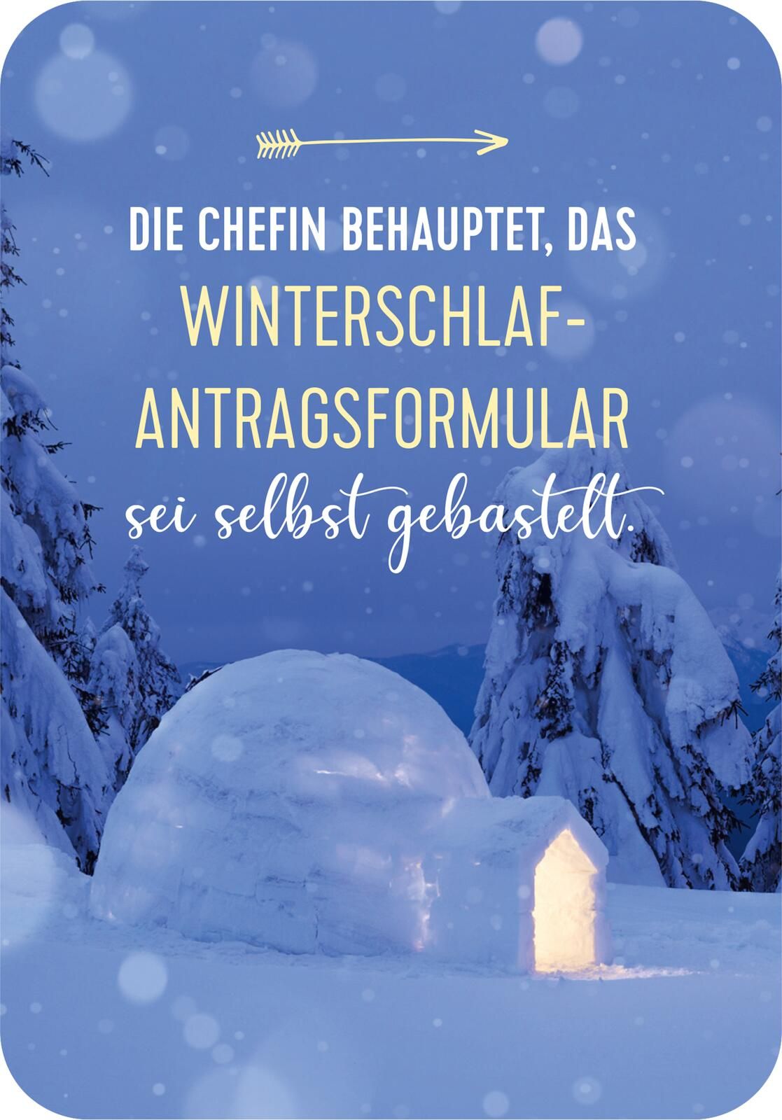 Advent, Advent, die Stimmung brennt! (Mängelexemplar)