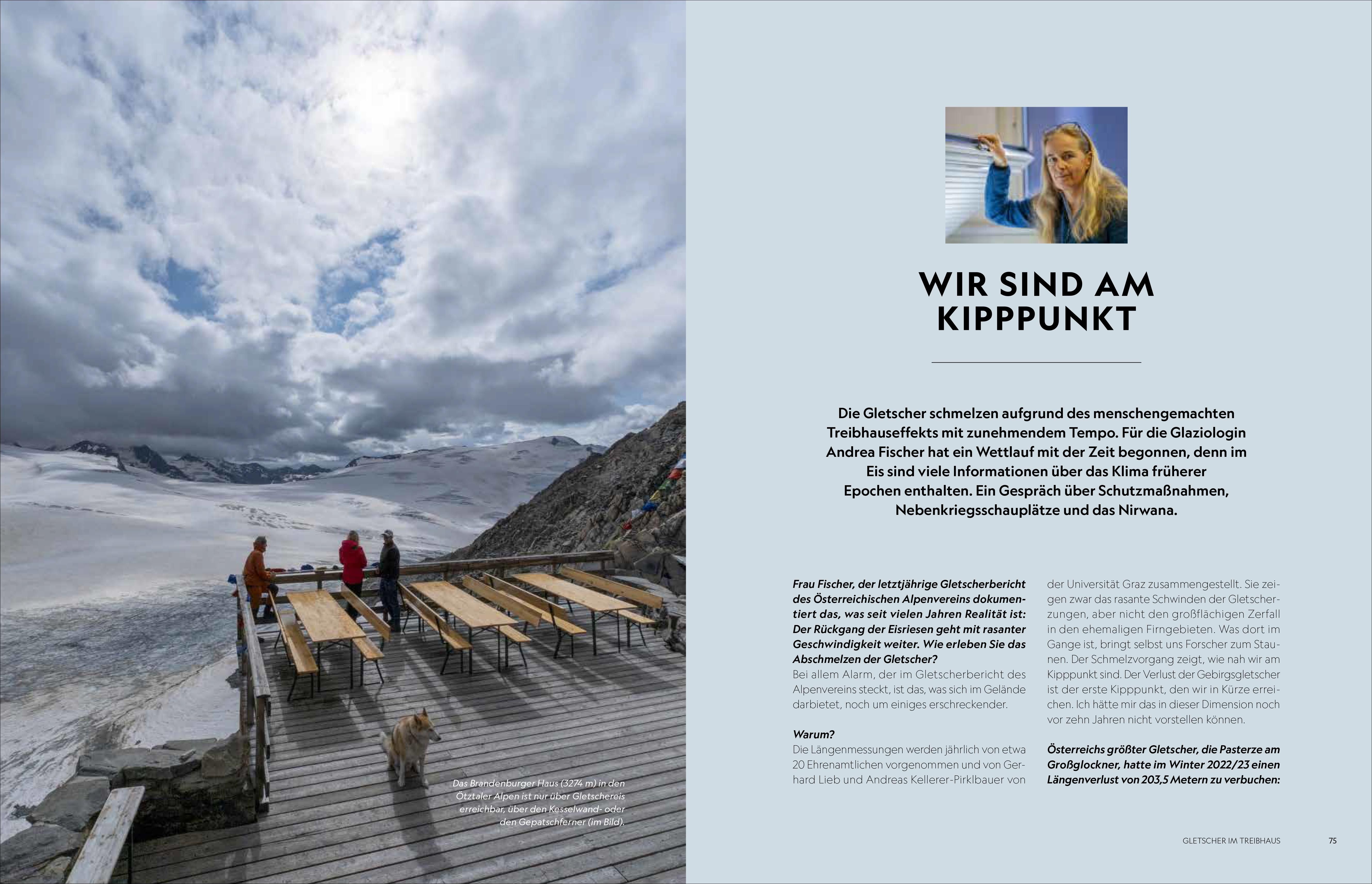 Das Wasser der Alpen (Mängelexemplar)