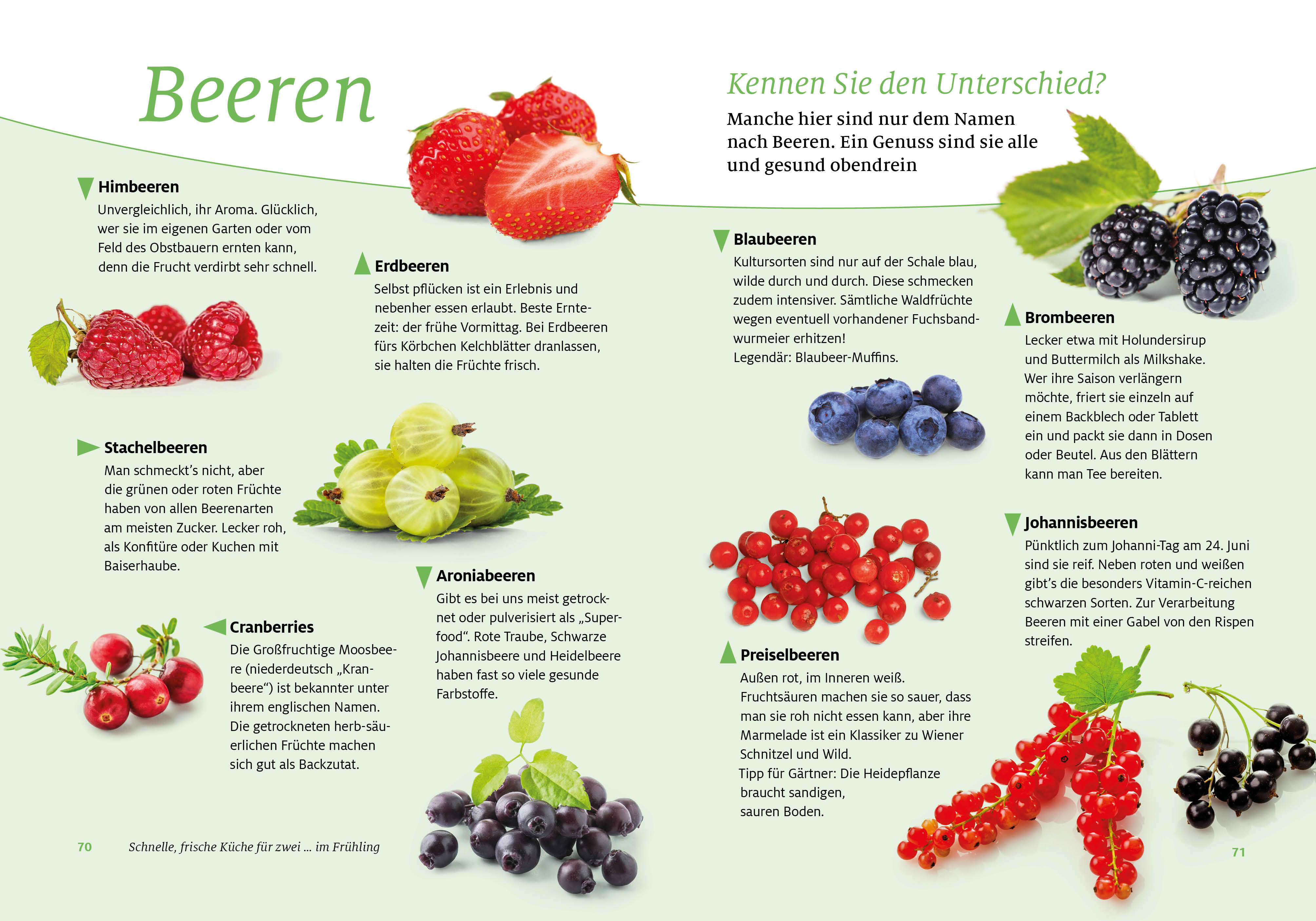 Senioren Ratgeber: Schnelle, frische Küche für zwei (Mängelexemplar)